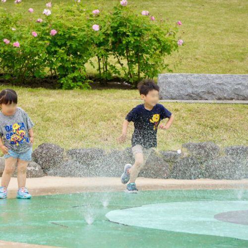 【噴水】東沢バラ公園　親水設備 設計・施工工事（山形県）